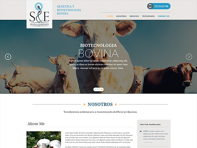 S&E - Genetica Bovina design flat design interface layout minimal site web