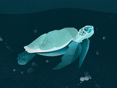 Turtle / illustration art book books children design illustration minimalistic texture turtle