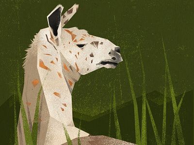 Llama_illustration