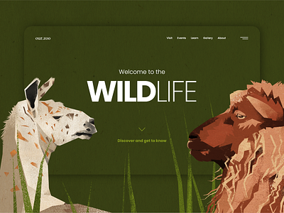 Zoo/Website animals art branding design illustration minimalistic nature ui web website zoo