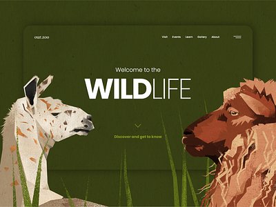 Zoo/Website