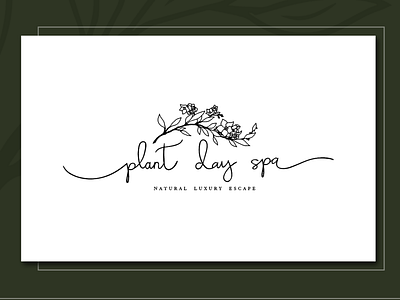 Branding for Plant Day Spa bangkok branding cosmetic labels luxury massage therapy natural plants spa therapy