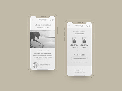 Ultra Premium Direct — UX pets food e-commerce wireframe