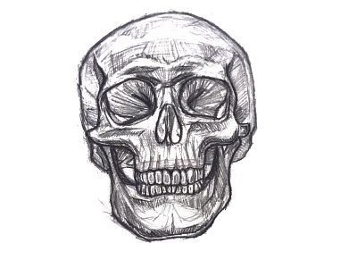 Skull Sketch