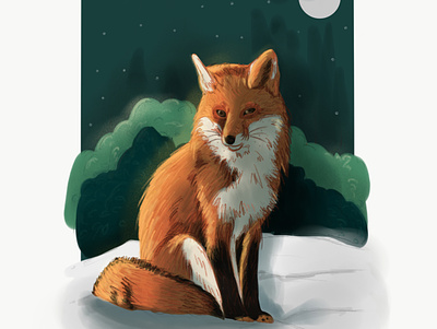 Fox animal illustration digital illustration fox fox illustration illustration illustration art wildlife art wildlife illustration