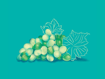 grape flat illustration fruit grape graphicdesign illustration uva vote