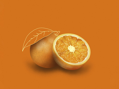 orange flat illustration fruit graphicdesign illustration orange procreate