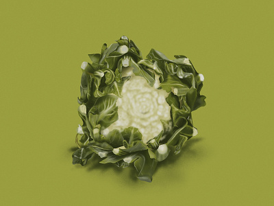 cauliflower cauliflower flat illustration graphicdesign illustration procreate vegetables