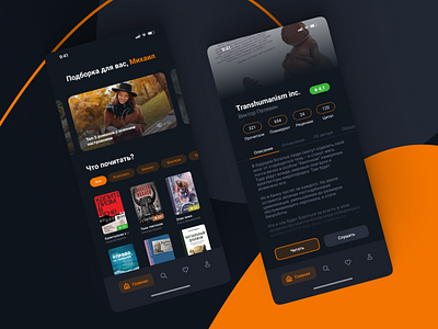 Netflix for books app branding design graphic design ui ux
