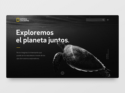 National Geographic — Exploremos el planeta juntos black brix sans concept design natgeo redesign sea turtle typography ui userinterface webpage white