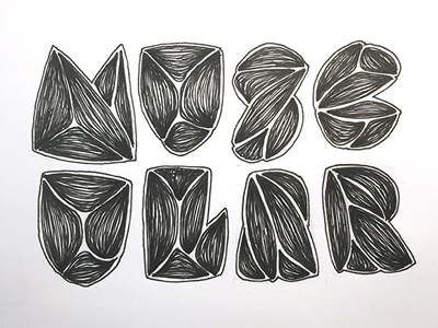 Muscular ::: Hand-Lettered Typography