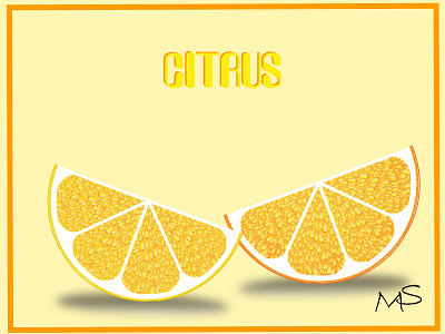 citrus design illustration vector