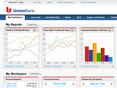 Union Bank Dashboard bank dashboard financial graph information design user interface
