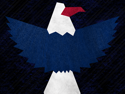 Eagle illustration