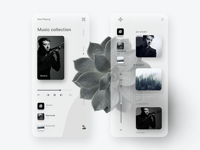 Music of nature - mobile app