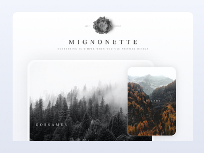 Mignonette - nature landing page clean design clean ui design landing landing page landing page design minimalism modern natural nature nature landing nature photography nature site ui ux