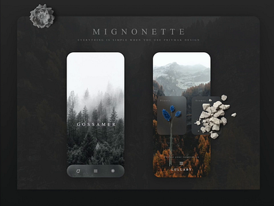 Mignonette - wave animated modern app design abstract animated animated wave animation app app animation app design application art design mobile modern nature ui ui animation uiux ux wave waves