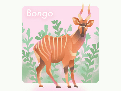Bongo bongo digital illustration illustration nature illustration photoshop wildlife