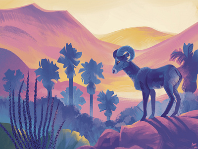 Anza Borrego Bighorn Sheep animal illustration anza borrego bighorn sheep california state parks desert desert illustration illustration nature nature illustration procreate southern california wildlife wildlife illustration