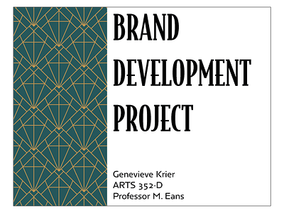 Brand Development Project brand design brand development graphic design logo marketing print design student project student work