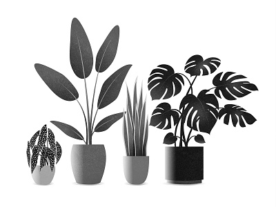 Plant Squad design digital art flat graphic design illustration