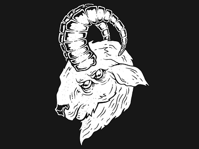 Unused sketch #01 design goat illustration