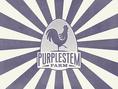 Purplestem Farm Logo branding chicken farm identity illustration logo