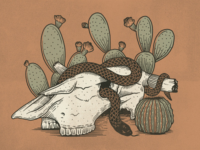 Desert Vibes Pt.1 cacti cactus desert illustration skull snake