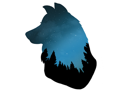 Night Sky art blur design digital illustration drawing gradient nature night procreate wolf