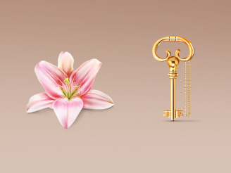 The Key and Lily key lily