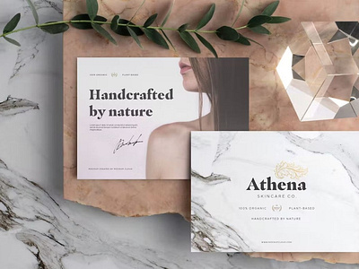 Free Download Athena Branding Mockup