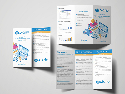 Tri-fold brochure and flyer