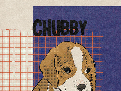 Chubby pup dog illustration midcentury