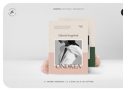 ONDREA Editorial Imagebook app app design design design app illustration web website website concept