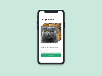 Daily UI / 001 / Sign Up cats daily 100 challenge dailyui dailyui001 ui
