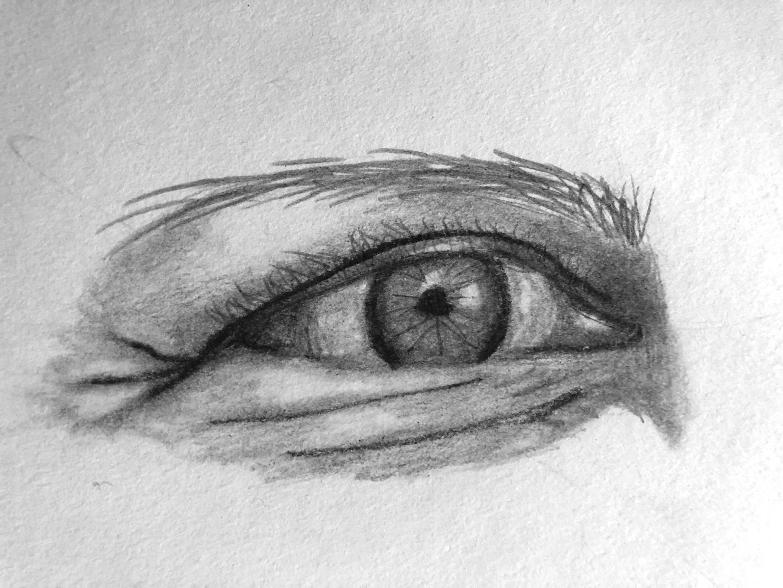 Pencil sketch by Charlotte Skibicki on Dribbble