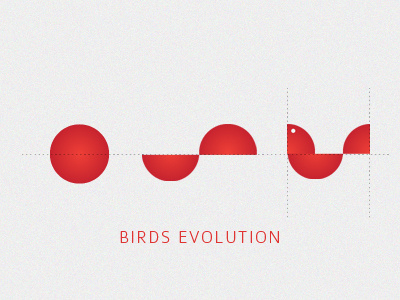 Bird Evolution bird bird evolution egg
