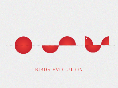 Bird Evolution