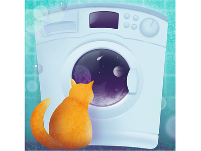 A cat amazed by the washing machine