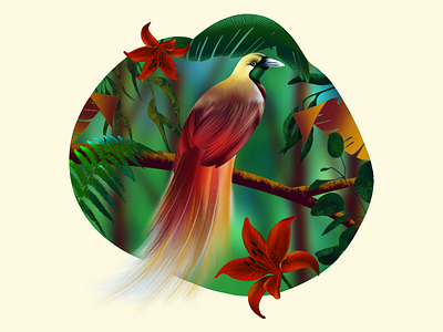 Paradise Bird Illustration Tutorial animal art animal illustration art bird design illustration ipadproart paradise bird patreon tutorial procreate procreate art procreate brushes procreate tutorial procreateapp tatyworks tutorial