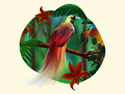 Paradise Bird Illustration Tutorial