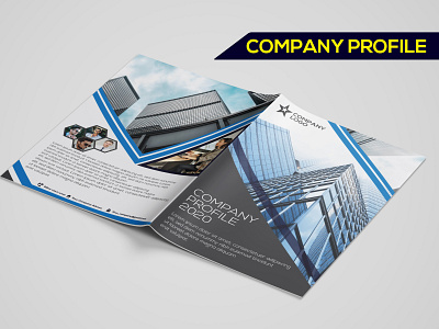 Company Profile broshure company company profile company profile design illustration profile