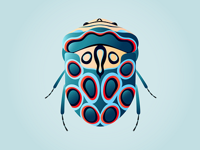 Picasso Bug botanical illustration bug editorial illustration illustration minimal nature illustration picasso bug