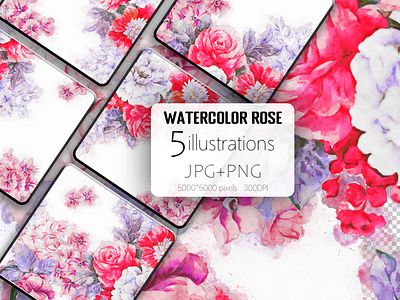 Beautiful watercolor rose flower illustration