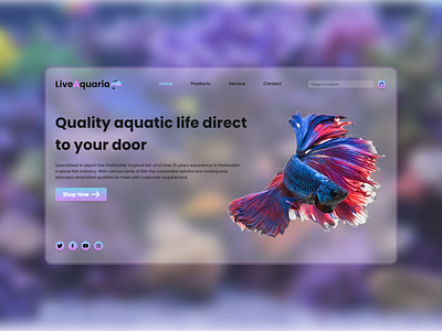 Landing page UI for online tropical fish aquarium aqua concept design fish landingpage modern ui uiux uiuxdesign webdesign