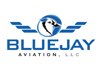 Blue Jay Aviation LLC Logo aviation bird blue branding design escuela jay llc pajaro plane school