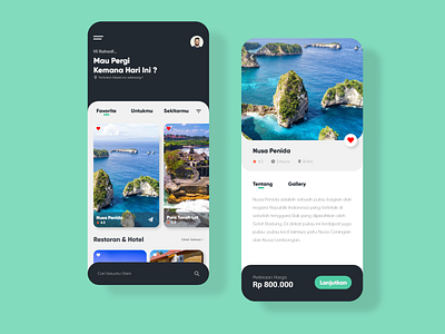 Tour Guide App Design