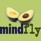 Mindfly Web Design Studio