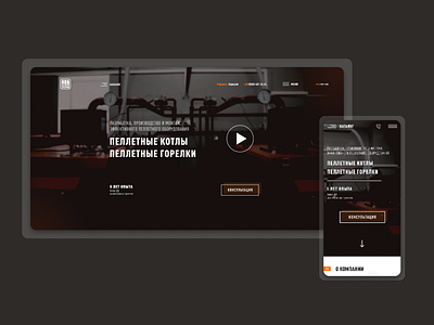 BeeTerm - Corporate website branding dashboard design digital figma graphic design homepage illustration ui ux web webdesign website