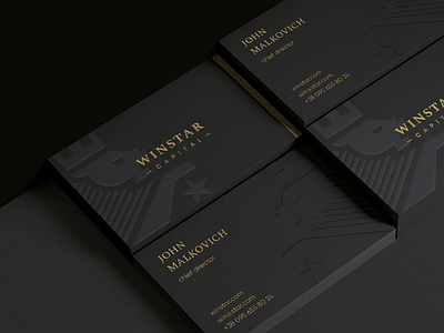 Polygraphy design - Winstar Capital platform